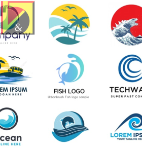 Thiết kế logo công ty